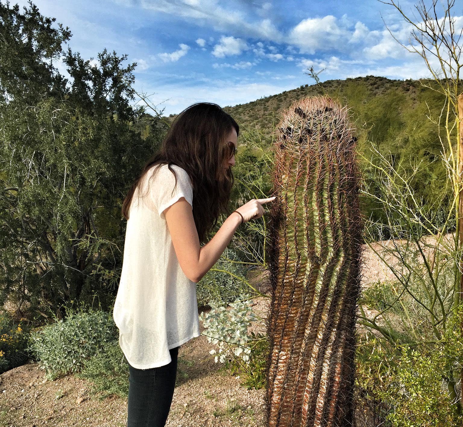 Touch cactus